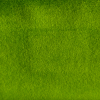 Plusz 11